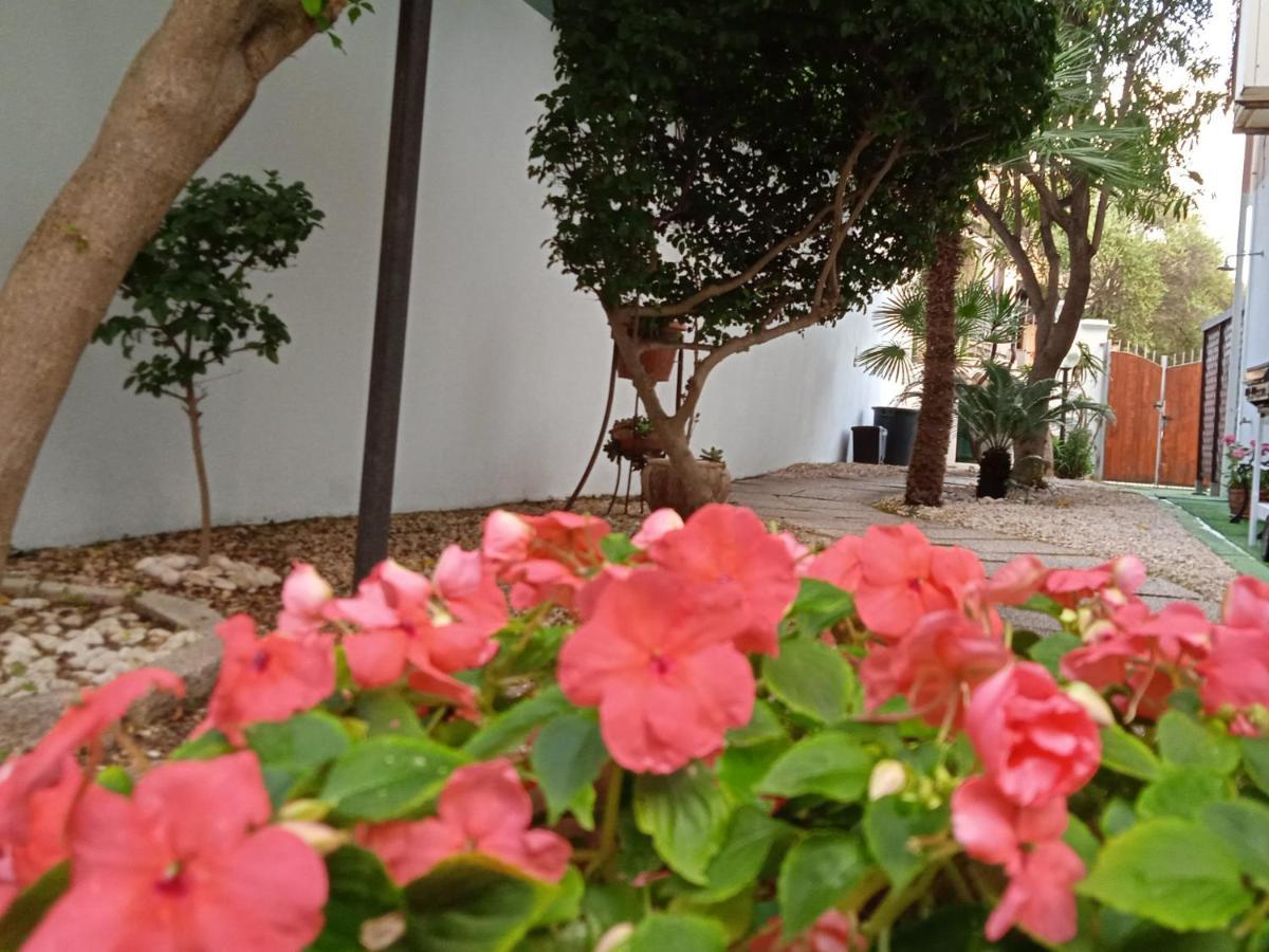 Guest House Oleandro Santa Maria Navarrese Exterior foto