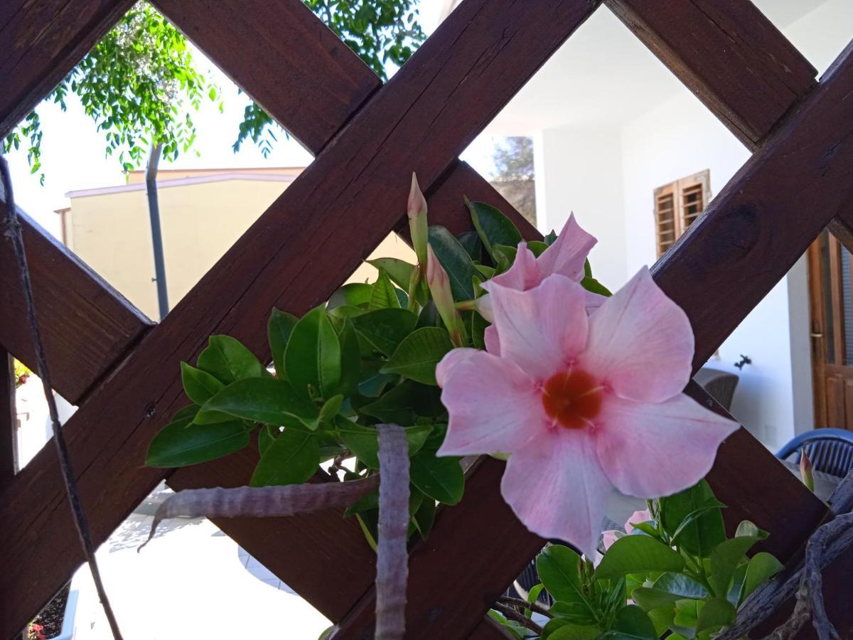 Guest House Oleandro Santa Maria Navarrese Exterior foto