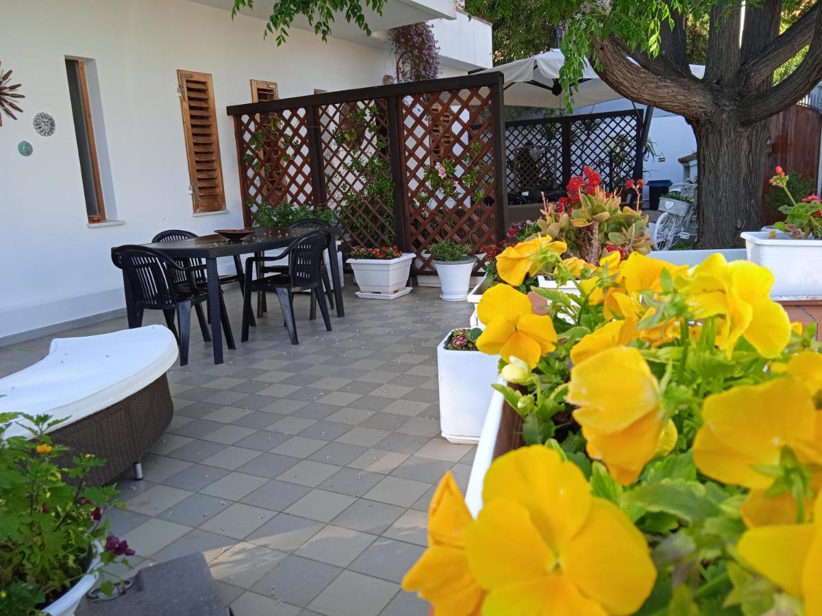 Guest House Oleandro Santa Maria Navarrese Exterior foto