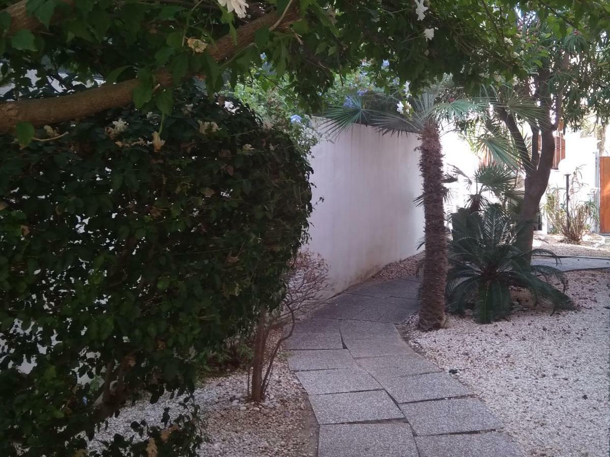 Guest House Oleandro Santa Maria Navarrese Exterior foto